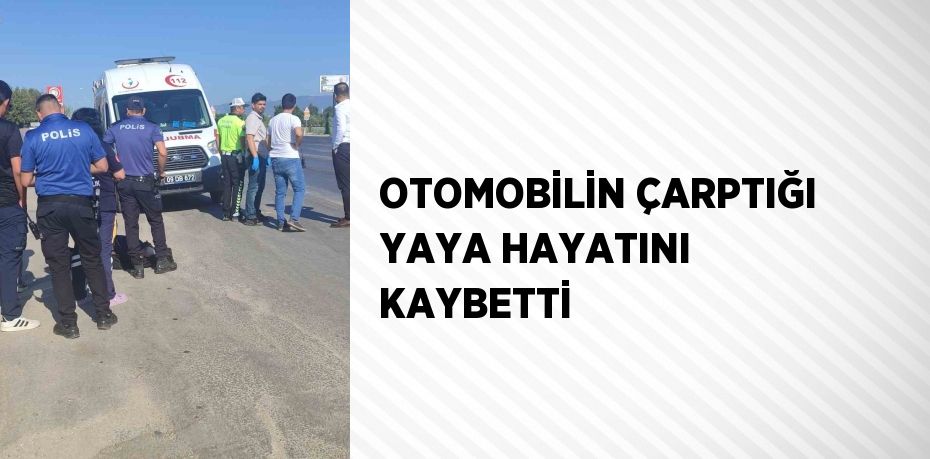 OTOMOBİLİN ÇARPTIĞI YAYA HAYATINI KAYBETTİ