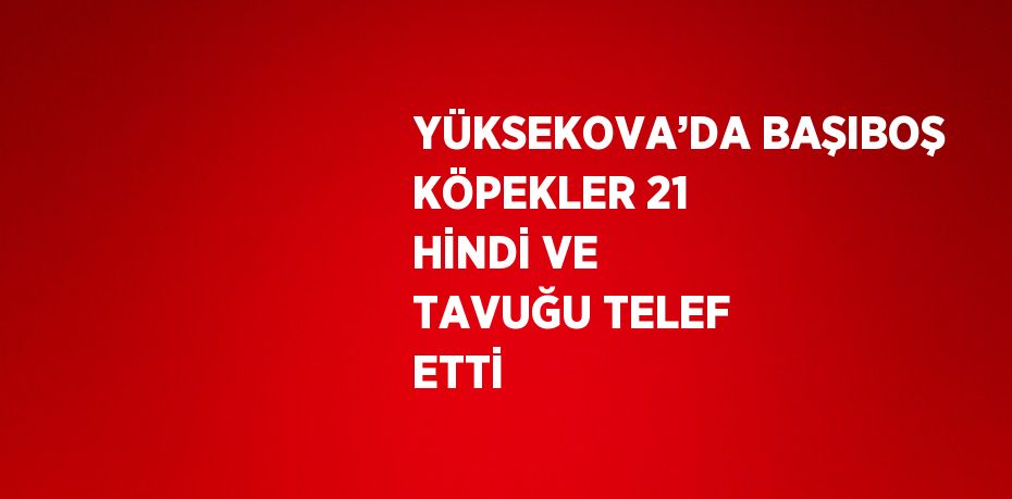 YÜKSEKOVA’DA BAŞIBOŞ KÖPEKLER 21 HİNDİ VE TAVUĞU TELEF ETTİ
