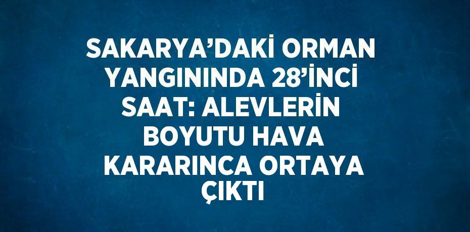 SAKARYA’DAKİ ORMAN YANGININDA 28’İNCİ SAAT: ALEVLERİN BOYUTU HAVA KARARINCA ORTAYA ÇIKTI