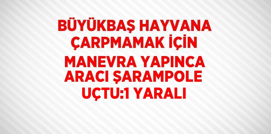 BÜYÜKBAŞ HAYVANA ÇARPMAMAK İÇİN MANEVRA YAPINCA ARACI ŞARAMPOLE UÇTU:1 YARALI