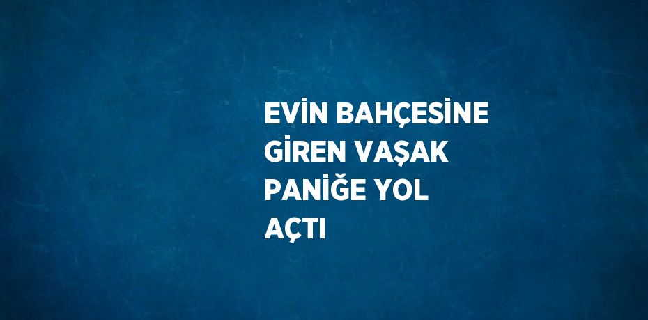 EVİN BAHÇESİNE GİREN VAŞAK PANİĞE YOL AÇTI