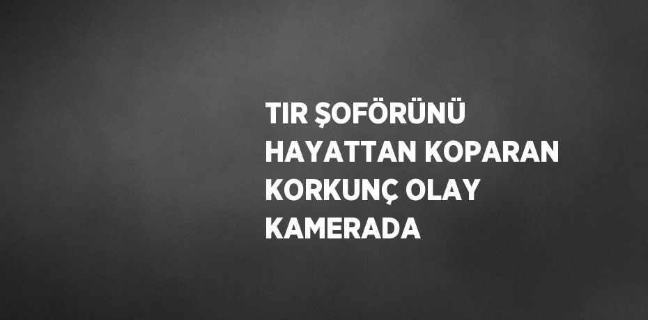 TIR ŞOFÖRÜNÜ HAYATTAN KOPARAN KORKUNÇ OLAY KAMERADA