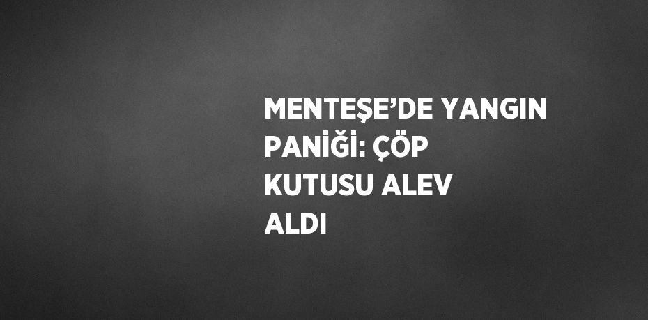 MENTEŞE’DE YANGIN PANİĞİ: ÇÖP KUTUSU ALEV ALDI
