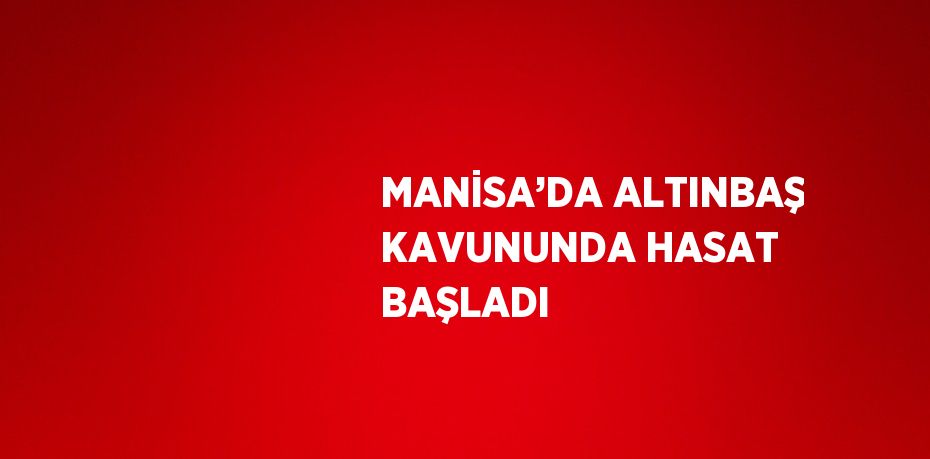 MANİSA’DA ALTINBAŞ KAVUNUNDA HASAT BAŞLADI