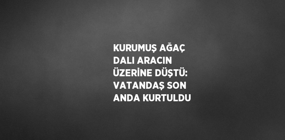 KURUMUŞ AĞAÇ DALI ARACIN ÜZERİNE DÜŞTÜ: VATANDAŞ SON ANDA KURTULDU