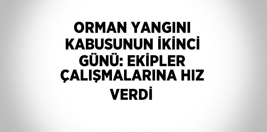 ORMAN YANGINI KABUSUNUN İKİNCİ GÜNÜ: EKİPLER ÇALIŞMALARINA HIZ VERDİ