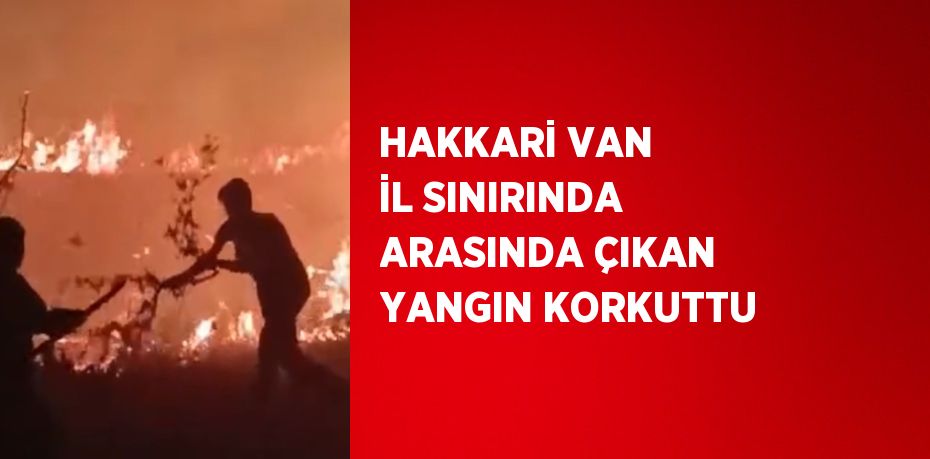 HAKKARİ VAN İL SINIRINDA ARASINDA ÇIKAN YANGIN KORKUTTU