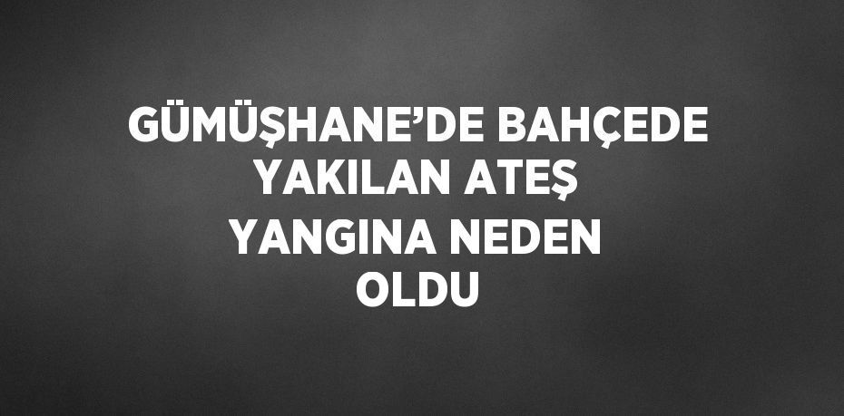 GÜMÜŞHANE’DE BAHÇEDE YAKILAN ATEŞ YANGINA NEDEN OLDU