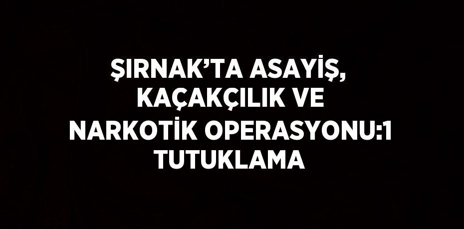 ŞIRNAK’TA ASAYİŞ, KAÇAKÇILIK VE NARKOTİK OPERASYONU:1 TUTUKLAMA