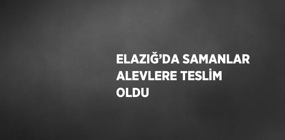 ELAZIĞ’DA SAMANLAR ALEVLERE TESLİM OLDU