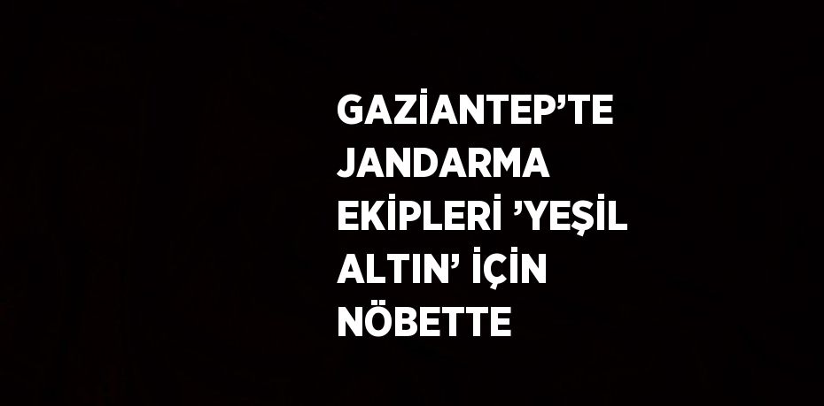 GAZİANTEP’TE JANDARMA EKİPLERİ ’YEŞİL ALTIN’ İÇİN NÖBETTE