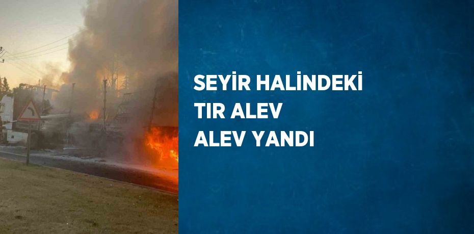 SEYİR HALİNDEKİ TIR ALEV ALEV YANDI