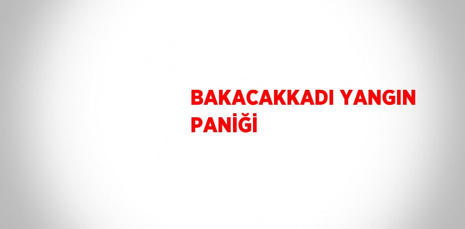 BAKACAKKADI YANGIN PANİĞİ