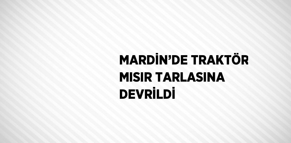 MARDİN’DE TRAKTÖR MISIR TARLASINA DEVRİLDİ