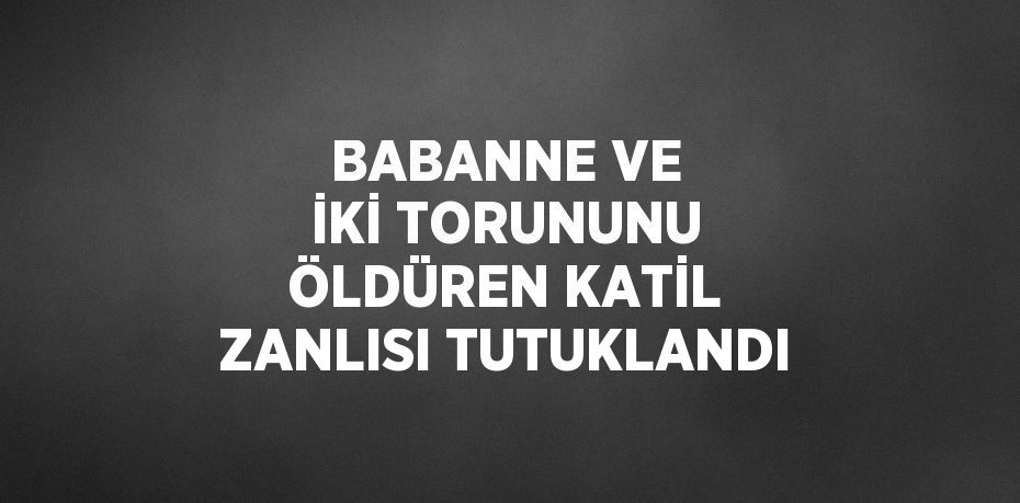 BABANNE VE İKİ TORUNUNU ÖLDÜREN KATİL ZANLISI TUTUKLANDI
