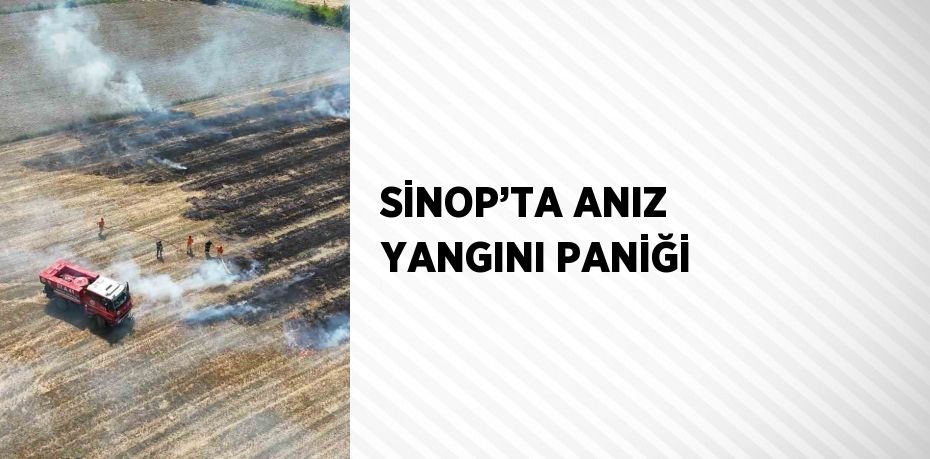SİNOP’TA ANIZ YANGINI PANİĞİ