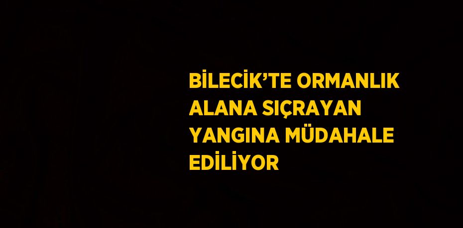 BİLECİK’TE ORMANLIK ALANA SIÇRAYAN YANGINA MÜDAHALE EDİLİYOR