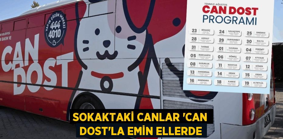 SOKAKTAKİ CANLAR “CAN DOST”LA EMİN ELLERDE