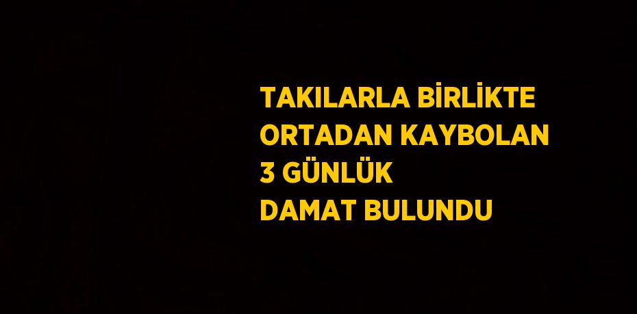 TAKILARLA BİRLİKTE ORTADAN KAYBOLAN 3 GÜNLÜK DAMAT BULUNDU