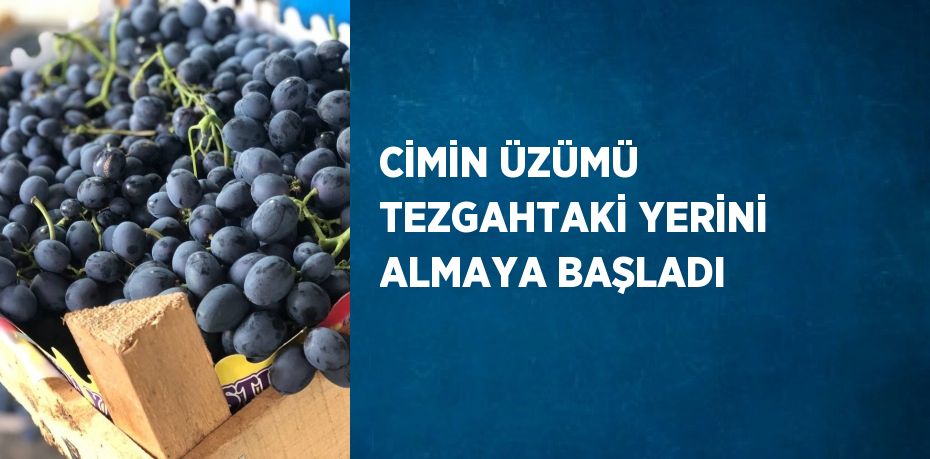 CİMİN ÜZÜMÜ TEZGAHTAKİ YERİNİ ALMAYA BAŞLADI