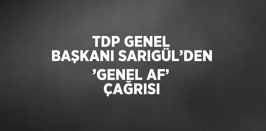 TDP GENEL BAŞKANI SARIGÜL’DEN ’GENEL AF’ ÇAĞRISI