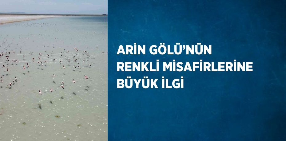 ARİN GÖLÜ’NÜN RENKLİ MİSAFİRLERİNE BÜYÜK İLGİ