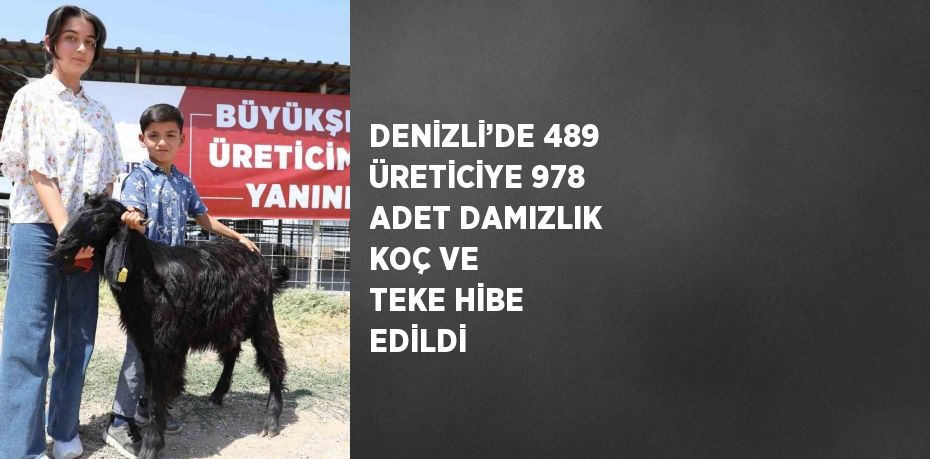 DENİZLİ’DE 489 ÜRETİCİYE 978 ADET DAMIZLIK KOÇ VE TEKE HİBE EDİLDİ