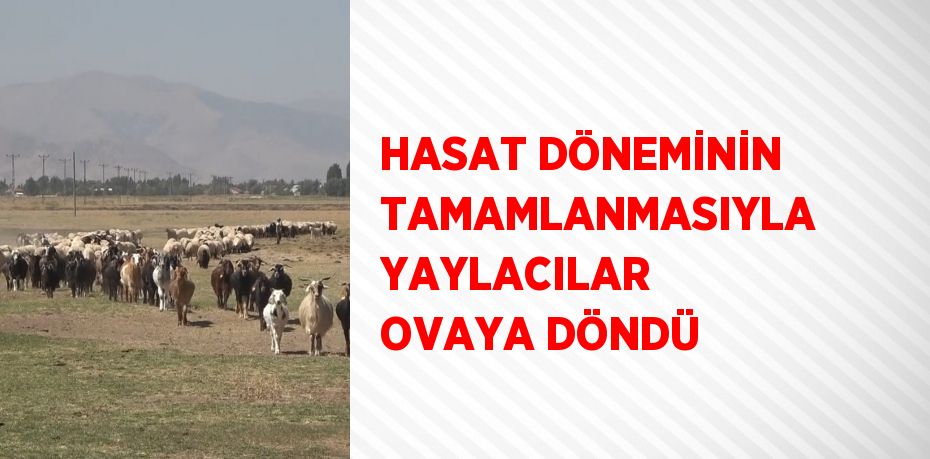 HASAT DÖNEMİNİN TAMAMLANMASIYLA YAYLACILAR OVAYA DÖNDÜ