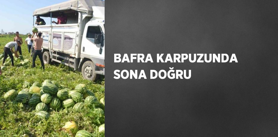 BAFRA KARPUZUNDA SONA DOĞRU