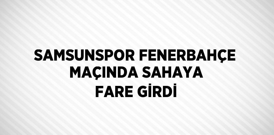 SAMSUNSPOR FENERBAHÇE MAÇINDA SAHAYA FARE GİRDİ