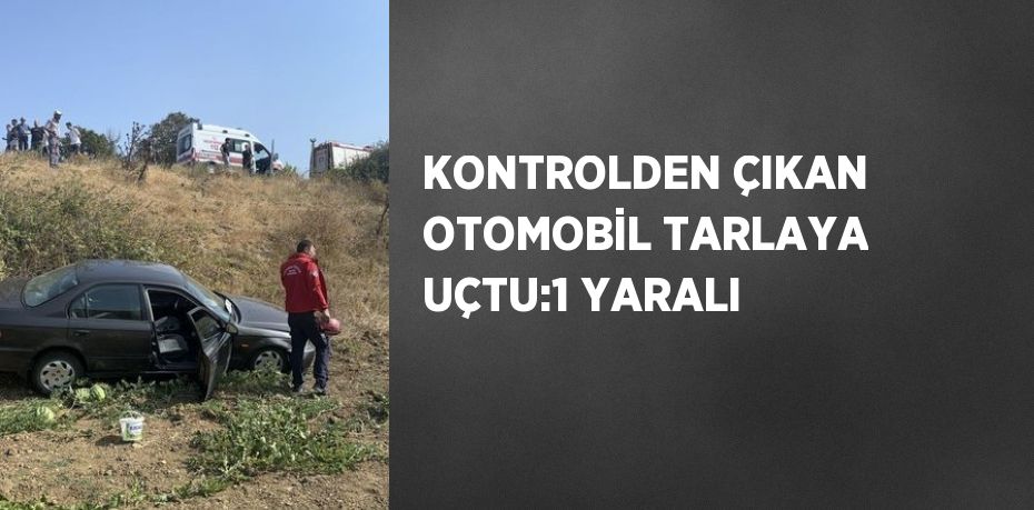 KONTROLDEN ÇIKAN OTOMOBİL TARLAYA UÇTU:1 YARALI