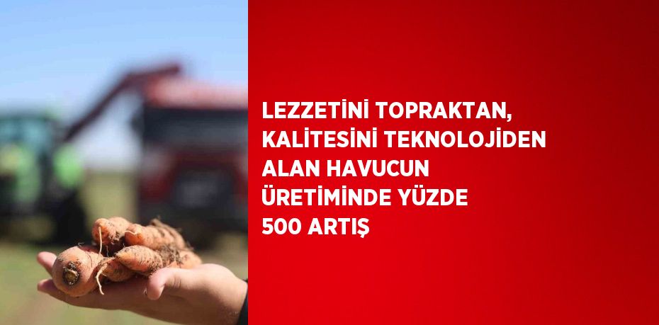 LEZZETİNİ TOPRAKTAN, KALİTESİNİ TEKNOLOJİDEN ALAN HAVUCUN ÜRETİMİNDE YÜZDE 500 ARTIŞ