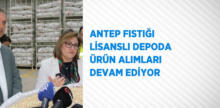 ANTEP FISTIĞI LİSANSLI DEPODA ÜRÜN ALIMLARI DEVAM EDİYOR