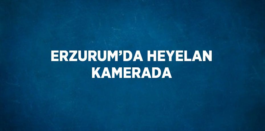 ERZURUM’DA HEYELAN KAMERADA