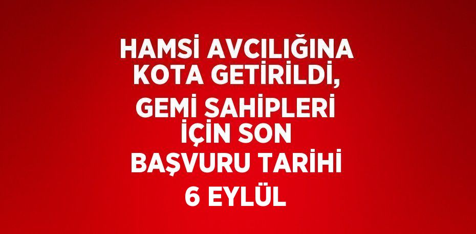 HAMSİ AVCILIĞINA KOTA GETİRİLDİ, GEMİ SAHİPLERİ İÇİN SON BAŞVURU TARİHİ 6 EYLÜL