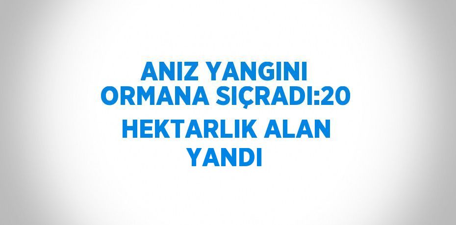 ANIZ YANGINI ORMANA SIÇRADI:20 HEKTARLIK ALAN YANDI