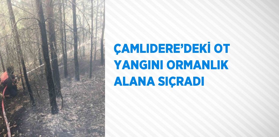 ÇAMLIDERE’DEKİ OT YANGINI ORMANLIK ALANA SIÇRADI