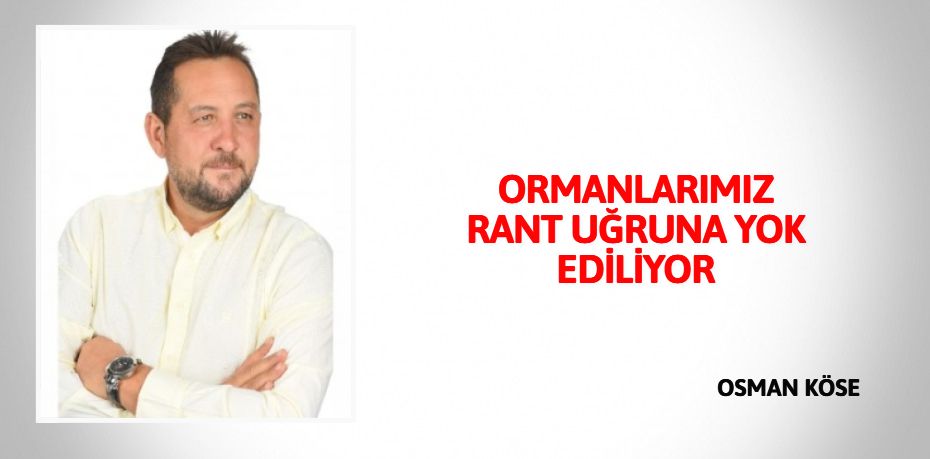 ORMANLARIMIZ RANT UĞRUNA YOK EDİLİYOR