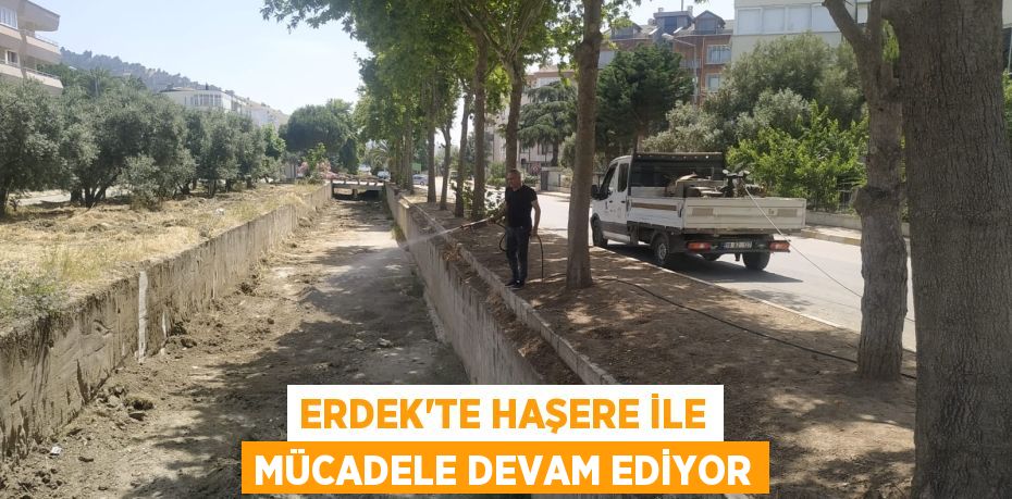 ERDEK’TE HAŞERE İLE MÜCADELE DEVAM EDİYOR