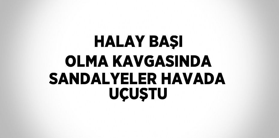 HALAY BAŞI OLMA KAVGASINDA SANDALYELER HAVADA UÇUŞTU