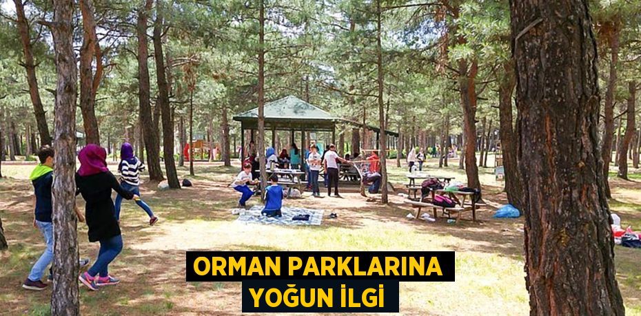 ORMAN PARKLARINA YOĞUN İLGİ