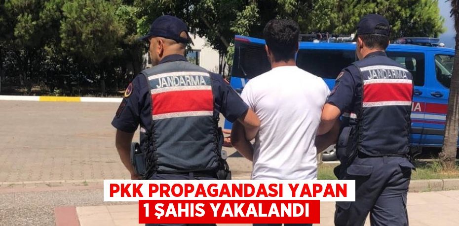 PKK PROPAGANDASI YAPAN 1 ŞAHIS YAKALANDI