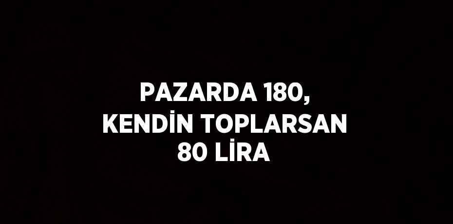 PAZARDA 180, KENDİN TOPLARSAN 80 LİRA