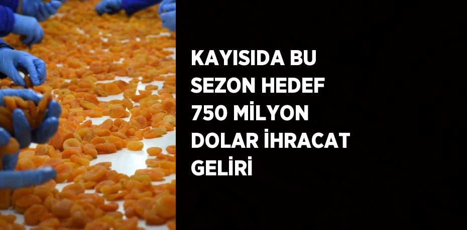 KAYISIDA BU SEZON HEDEF 750 MİLYON DOLAR İHRACAT GELİRİ