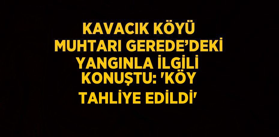 KAVACIK KÖYÜ MUHTARI GEREDE’DEKİ YANGINLA İLGİLİ KONUŞTU: 'KÖY TAHLİYE EDİLDİ'