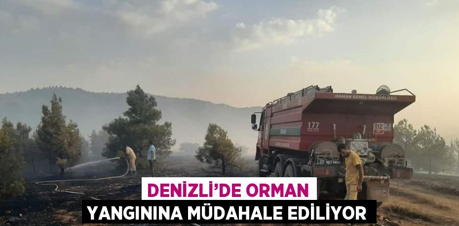 DENİZLİ’DE ORMAN YANGININA MÜDAHALE EDİLİYOR