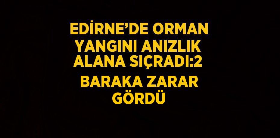 EDİRNE’DE ORMAN YANGINI ANIZLIK ALANA SIÇRADI:2 BARAKA ZARAR GÖRDÜ