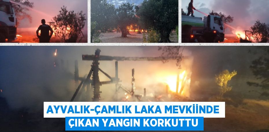 AYVALIK-ÇAMLIK LAKA MEVKİİNDE ÇIKAN YANGIN KORKUTTU