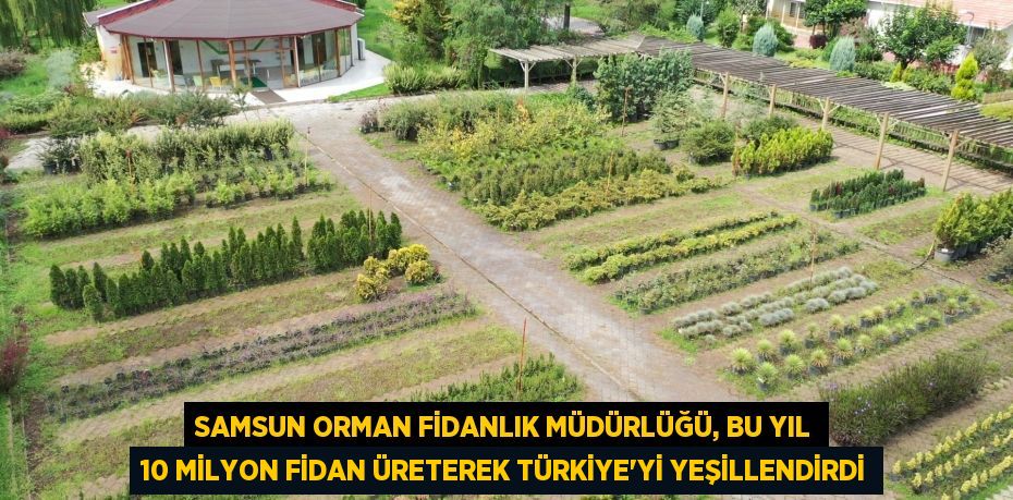 Samsun Orman Fidanlık Müdürlüğü, bu yıl 10 milyon fidan üreterek Türkiye’yi yeşillendirdi