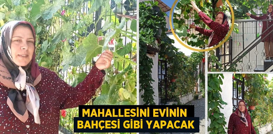 Mahallesini evinin  bahçesi gibi yapacak